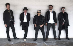 Little Bob Blues Bastards