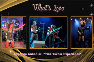 What's Love "Tina Turner Experience"