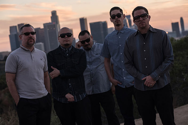 The Aggrolites