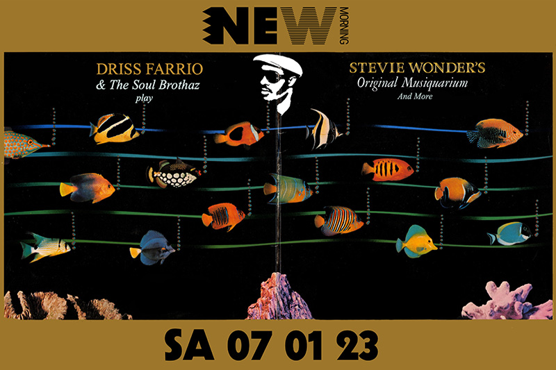 Sam 07 Jan 2023 : Musiquarium : Tribute to Stevie Wonder